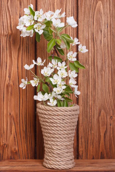 Pear flowers in a vase against brown wooden board — Stock Photo, Image