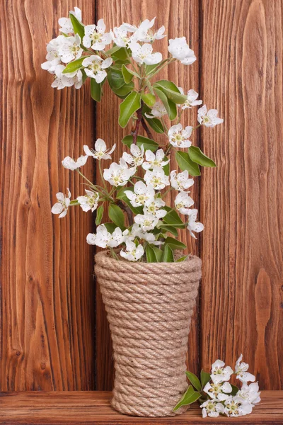 Virágzás gyümölcs fa ágai a vázában — Stock Fotó
