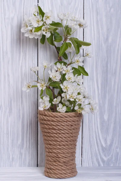 Pear branches with flowers and green leaves in a vase — Stock Photo, Image