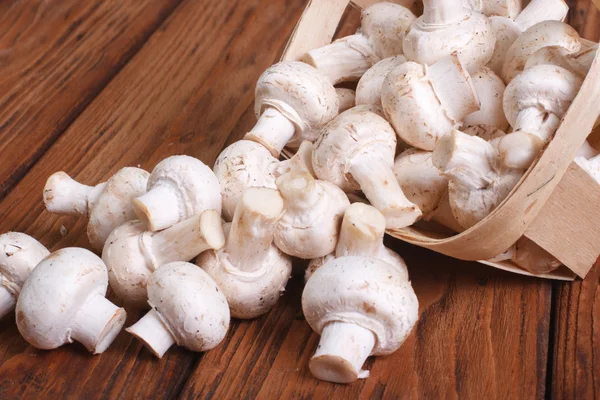 Funghi champignons versati da un cesto. primo piano — Foto Stock