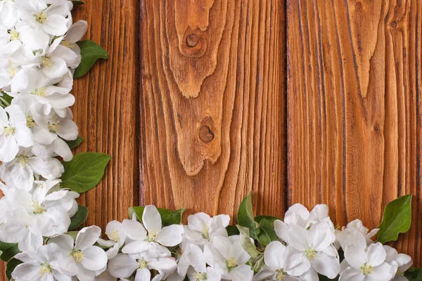 Moldura floral de canto de flores árvore de maçã em uma madeira — Fotografia de Stock