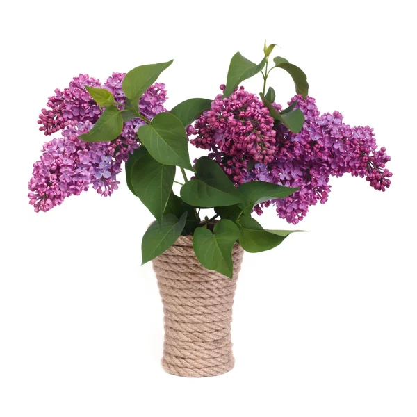 Lilas dans un vase en osier isolé sur fond blanc — Photo