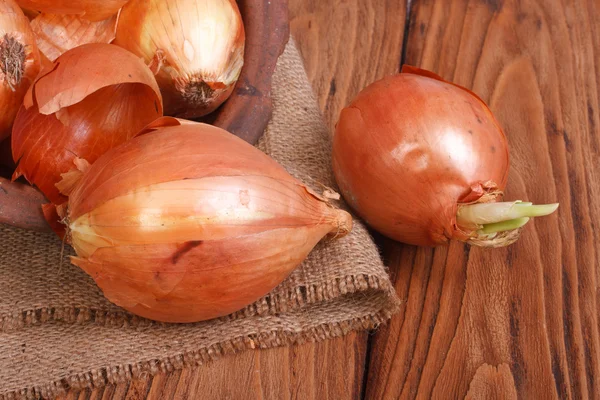 Sprouting onions on a wooden table on sacking — Stock Photo, Image