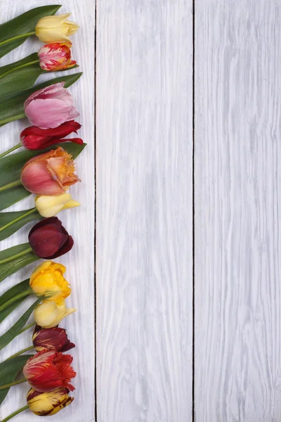 Cornice festiva di fiori tulipani sullo sfondo di legno — Foto Stock