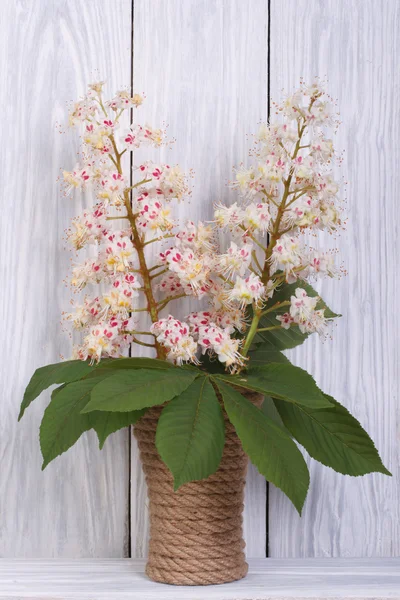 Branche de châtaignier en fleurs dans un vase sur un bois — Photo