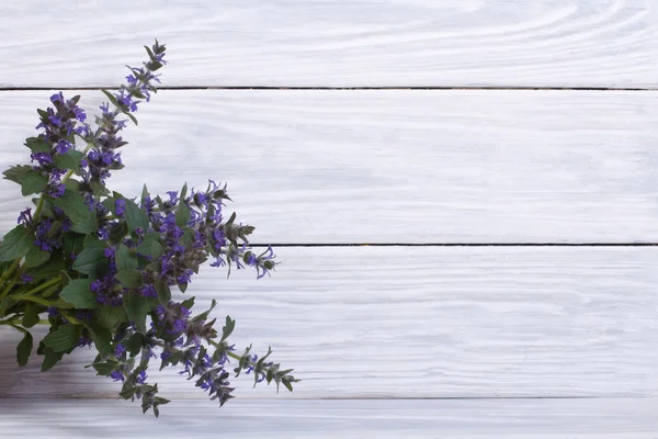 Blauwe penstemon bloemen op een houten achtergrond — Stockfoto
