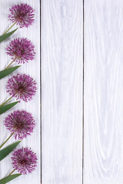 Vakantie decoreren frame paarse bloemen alium — Stockfoto
