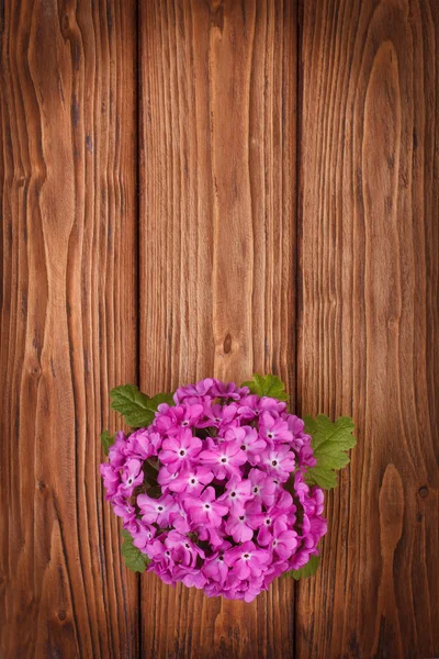 Prvosenka na dřevěný stůl horní pohled — Stock fotografie