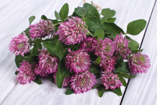 Fleurs de trèfle sur la planche de bois gris — Photo