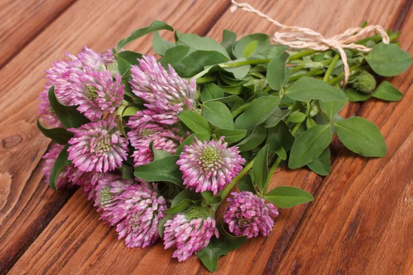 Bouquet of clover on a wooden table — Stock Photo, Image