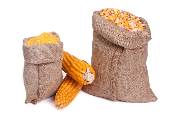 Zsák gabona, a dara és a kukorica a cob elszigetelt — Stock Fotó