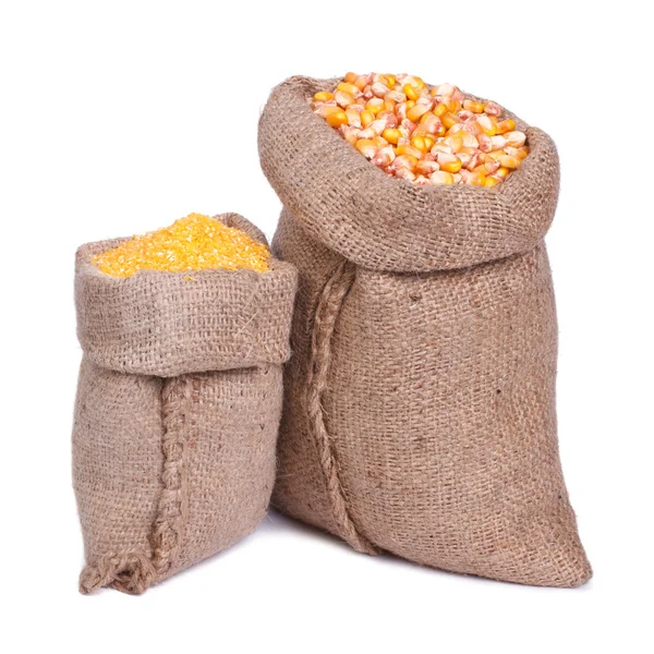Самки зерна і кукурудзи ізольовані на білому тлі — стокове фото