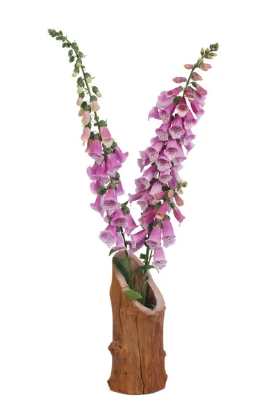 Bukiet naparstnica fioletowy kwiat na białym tle wazon — Zdjęcie stockowe