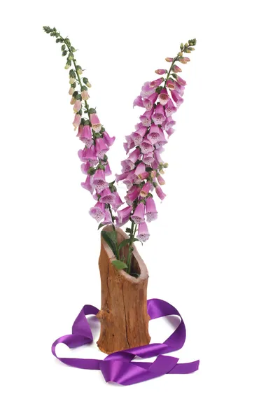 Flores de guante de zorro en un jarrón y una cinta púrpura aislada — Foto de Stock