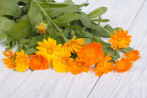 Hermoso ramo de flores de caléndula amarillas en una mesa de madera — Foto de Stock