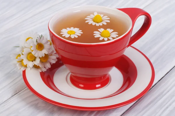 Herbal tea with chamomile flowers in a red cup — Stock Photo, Image