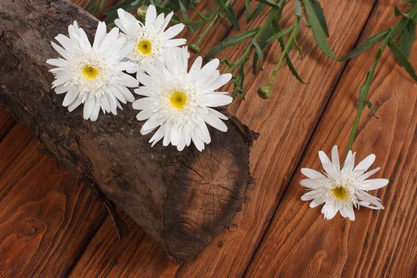 A bouquet of white chrysanthemums on a tree stump on the table — Stockfoto