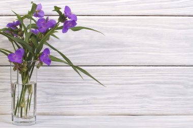 bir cam ahşap kurullarında mavi spiderwort çiçek
