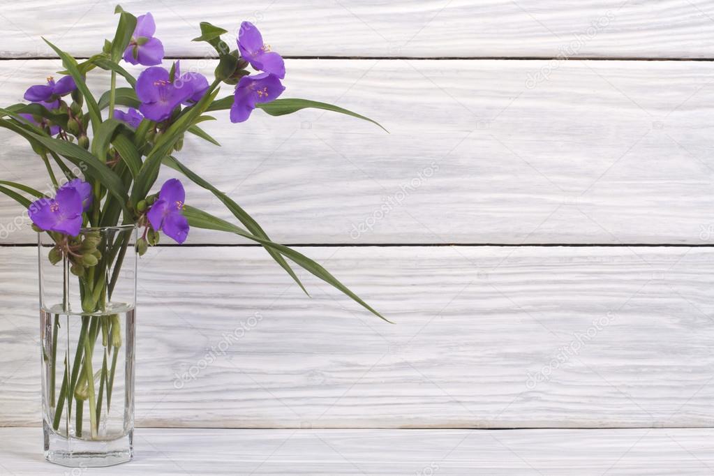Blue spiderwort flowers in a glass on the wooden boards