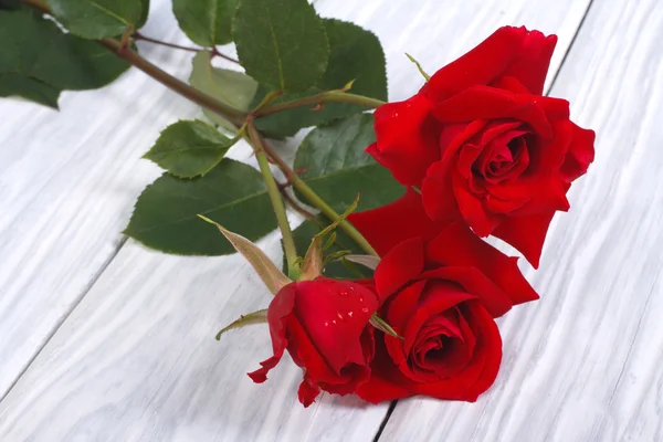 Red roses on a background of a wooden table — Stock Photo, Image