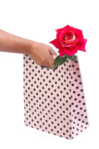 Weibliche Hand hält eine Geschenktüte mit einer frischen Rose isoliert — Stockfoto