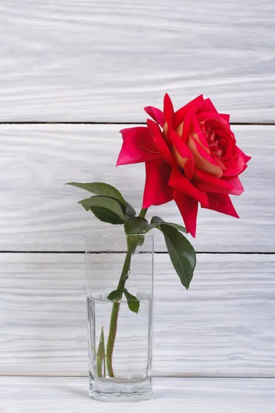 Flor de rosas rojas en un vaso sobre un fondo de madera — Foto de Stock