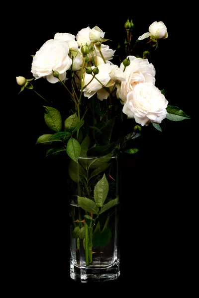 A bouquet of white roses in a vase. Low key. vertical — Stock Photo, Image