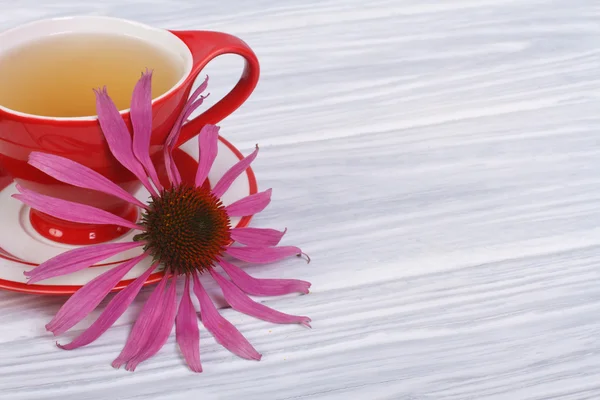 Chá de ervas com Echinacea em uma mesa de madeira — Fotografia de Stock