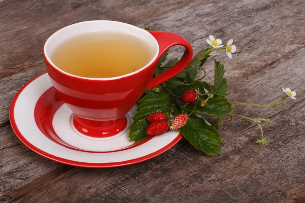Herbal tea with berries and flowers of wild strawberries — Stock Photo, Image