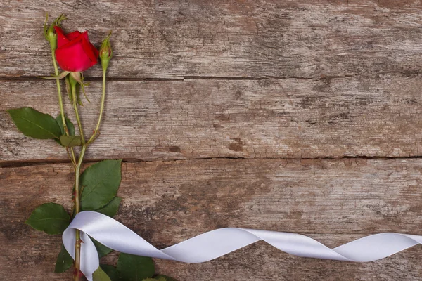 Floral frame of red rose with a white ribbon on a wooden — Stock Photo, Image