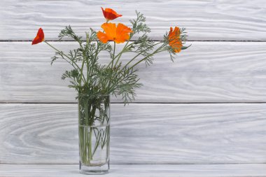 güzel bir cam vazo içinde sunulan eshsholtsiya portakal çiçekleri buketi