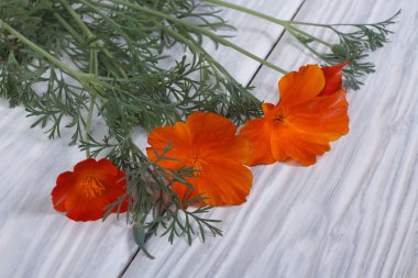 portakal çiçekleri eshsholtsiya güzel buket