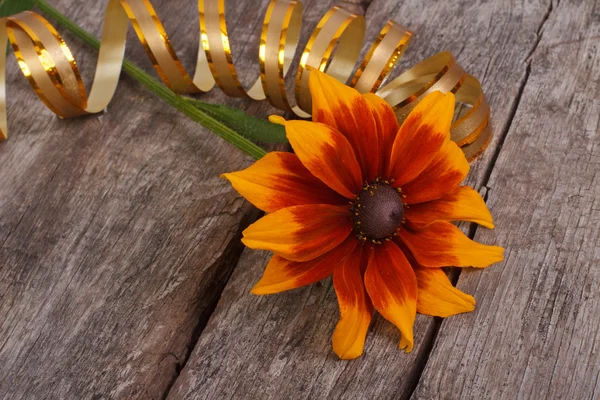Rudbeckia flower with gold ribbon on an old wooden table — Stock Photo, Image
