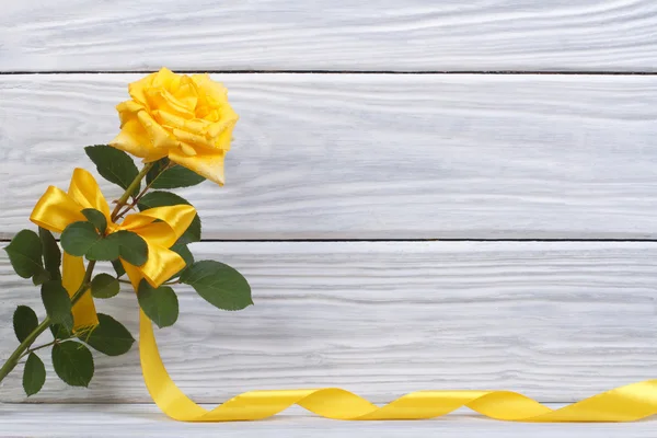 Žlutá růže s krásným luk a zlatá stuha — Stock fotografie