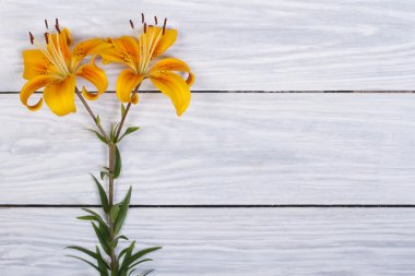 bir ahşap masa arka planda sarı zambak çiçekler