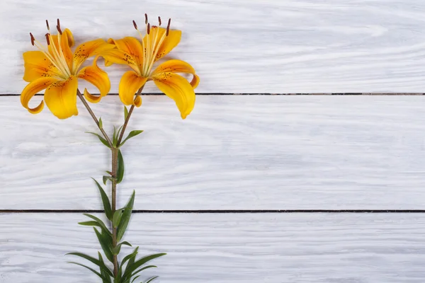 Flores de lirio amarillo sobre un fondo de mesa de madera —  Fotos de Stock