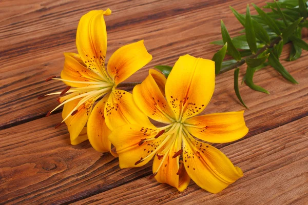 Bukett av gul Lilja blomma på en brun träbord — Stockfoto