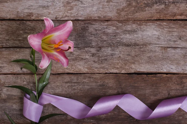 美しいリボンによって組み立てられるピンクのユリの花フレーム — ストック写真