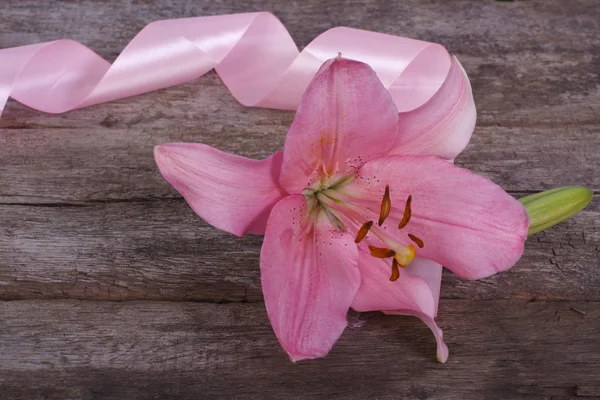 Pink lily flower with a bud with a ribbon on old wooden board — Stock Photo, Image