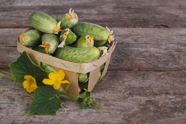 Fresh cucumbers in a wooden container with flowers and leaves — Stock Photo, Image