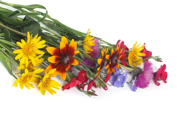 Ramo de flores silvestres multicolores aislados en un blanco —  Fotos de Stock