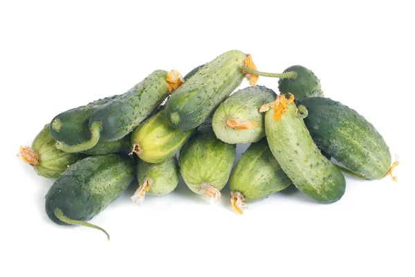 Fresh green cucumber with flowers isolated on white background — Stock Photo, Image