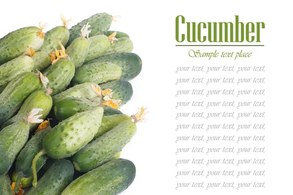 A pile of fresh cucumbers isolated on a white background — Stock Photo, Image