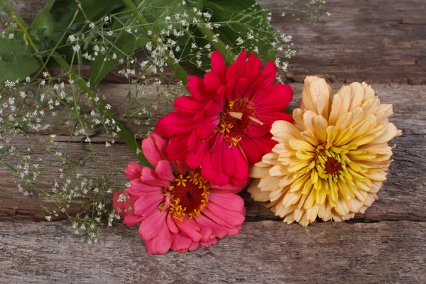 Flores de Zinnia con gypsophila en la mesa vieja —  Fotos de Stock