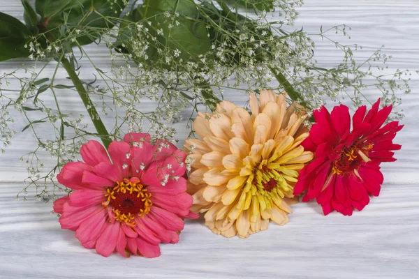 Flores de zinnia multicolores con gypsophila en la mesa —  Fotos de Stock