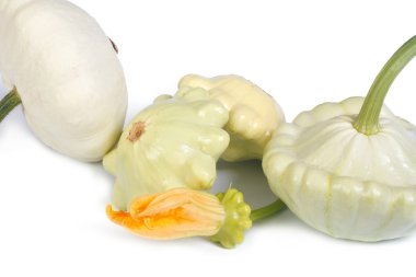 Beyaz arka plan üzerinde izole bir çiçek ile Patty pan kabak