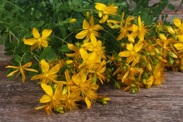 Čerstvé žluté květy hypericum na staré tabulky detail — Stock fotografie