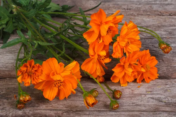 Bukett av orange ringblomma blommor på gamla träbord — Stockfoto