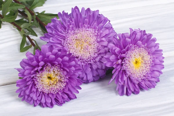 Beau bouquet d'asters violets sur une surface en bois — Photo