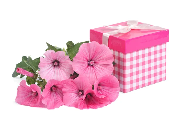 Roze papier-geschenkdoos met bloemen mooi lavatera — Stockfoto